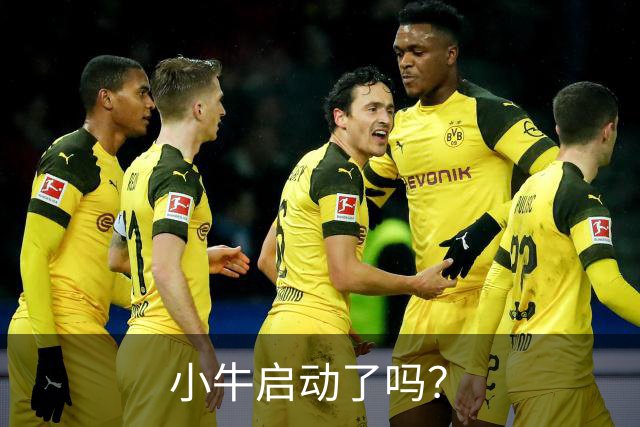 小牛启动了吗？
